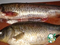 ������������� ���� �� ������� �����������