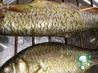 ������������� ���� �� ������� �����������