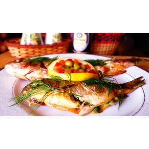 ������������� ���� �� �������