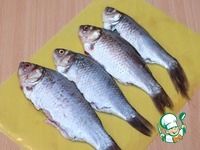 ������ � �����-������ �����������