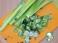 ������ � �����-������ �����������