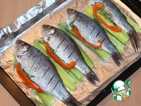 ������ � �����-������ �����������