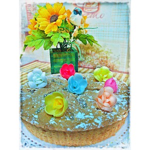 �������� ������������