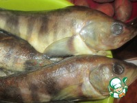 ������� ������ �����������