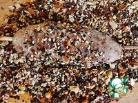 ������ �� �������� � ������ ��������� �����������