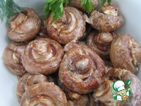 ���������� �� ����� �����������