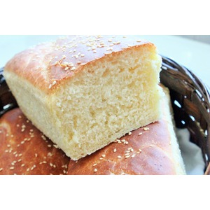 ����� ���� �� ���������