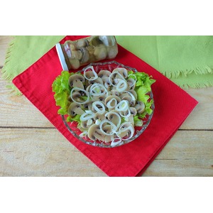 ������������ ����������