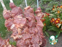 ������ � �����-������ �������� �����������