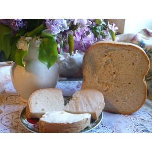 ����� ���� �� �������� � ����������