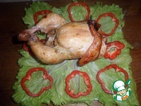 ������ �� ������� �����������