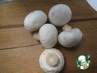 ������ "������ �������" �����������