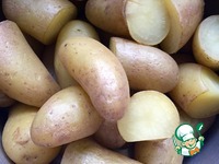 ������������ ������ ��-���������� "�����" �����������