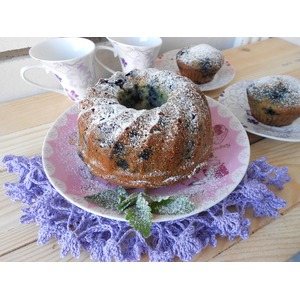 ����� ������ � ��������