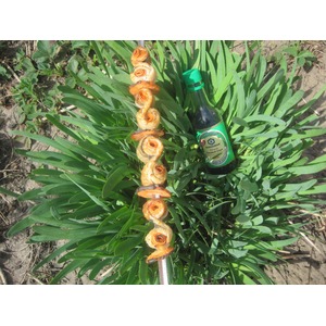 ������ ��������� � �������� �� ��������