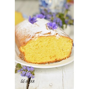 ��������� ����