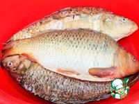 ���� �� ������� � ������� � ������� �����������