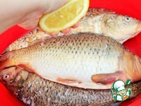 ���� �� ������� � ������� � ������� �����������