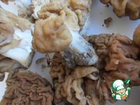 ������� �����������