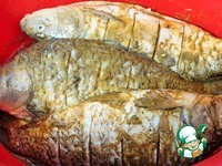 ���� �� ������� � ������� � ������� �����������