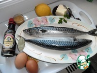 �������� � �������� ������ �����������