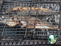 �������� � �������� ������ �����������