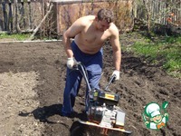 ������� ������-��������� ����� �����������