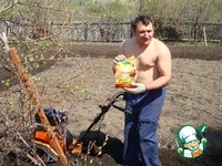 ������� ������-��������� ����� �����������