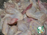 ������-����� � �����-������ �������� �����������