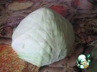 ������ �� ������� �� ������ � ������ ����� �����������