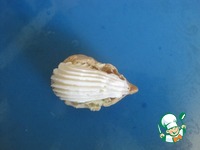 ���������� "��������� �����" �����������