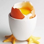 ���� �� ������