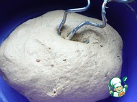 ��������-������ ���� �����������