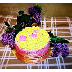 ���������� ���� "��� ��������"