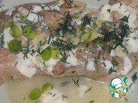 ������ ������ � �������-��������� �������� �����������