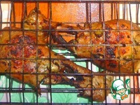 ������ ������ � �������-��������� �������� �����������