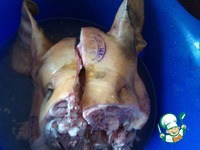 ������� �� ������ ������ �����������