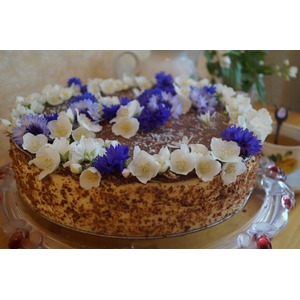 ���� "������ ������" � ���������