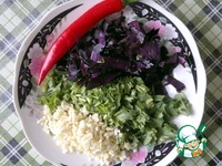 ���������� � ������������ �����������