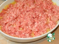 ������-������ ��������� � ������� �����������