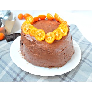 ���� "��������-�������� � �������"