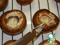 ���������� � �����-������� �������� �����������