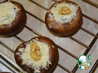 ���������� � �����-������� �������� �����������