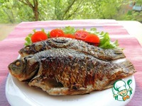 ������ �� ����� �����������