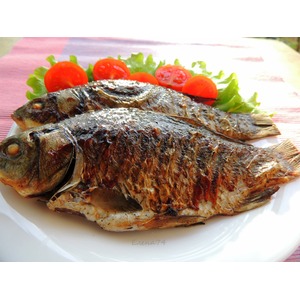 ������ �� �����