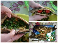 ����, ���������� �� ������� �����������