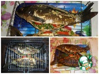 ����, ���������� �� ������� �����������