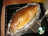 ������, ���������� ������� �� ������� ������ �����������