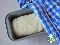 ���� �������� �����������