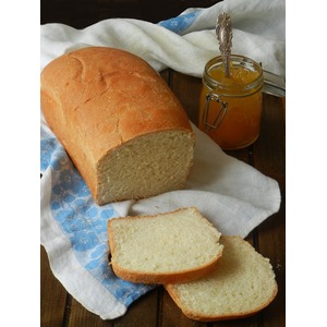 ���� ��������